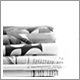Presse